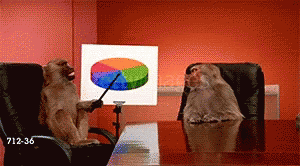 Choosing your own path